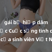 gái bị hiếp dâm bạo lực Cuộc sống tình dục của sinh viên Việt Nam: những điều cần biết và cẩn trọng để tránh rủi ro