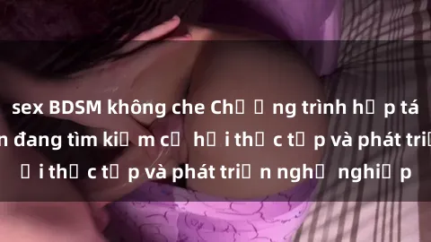 sex BDSM không che Chương trình hợp tác JAV cho sinh viên đang tìm kiếm cơ hội thực tập và phát triển nghề nghiệp